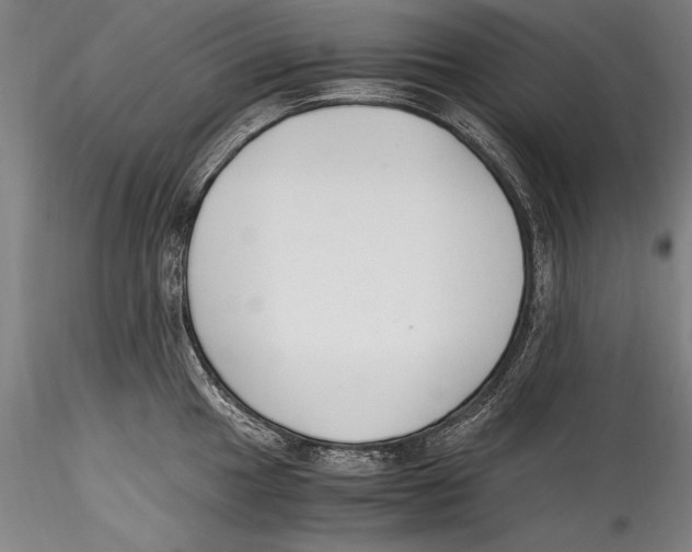 X0000115301049200911301509