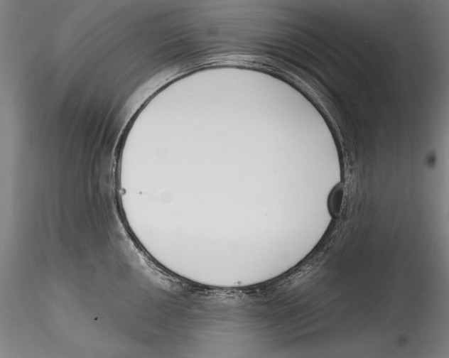 X0000115301050200911301509