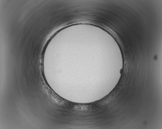 X0000115301051200911301509