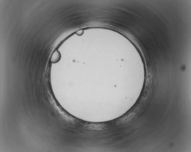 X0000115301053200911301509