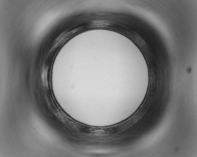 X0000115301054200911301509