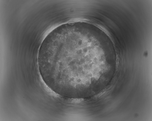 X0000115301055200911301509