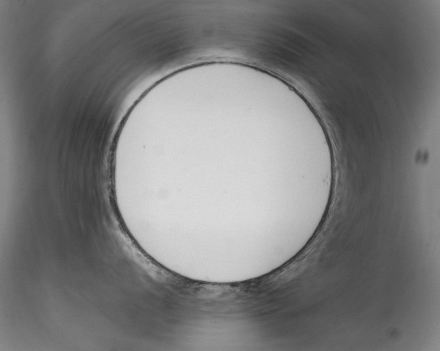 X0000115301056200911301509