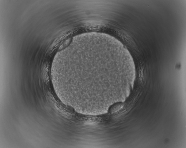 X0000115301060200911301508