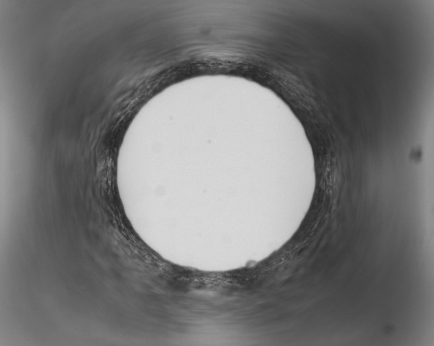 X0000115301061200911301508