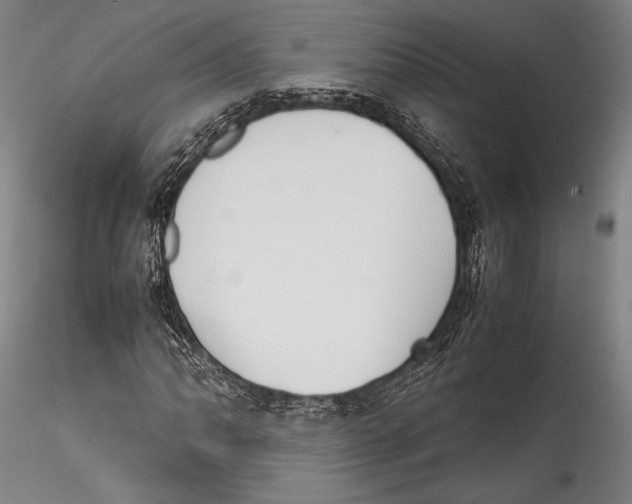 X0000115301062200911301508