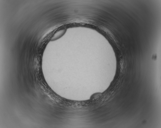 X0000115301064200911301508