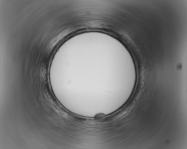 X0000115301065200911301508