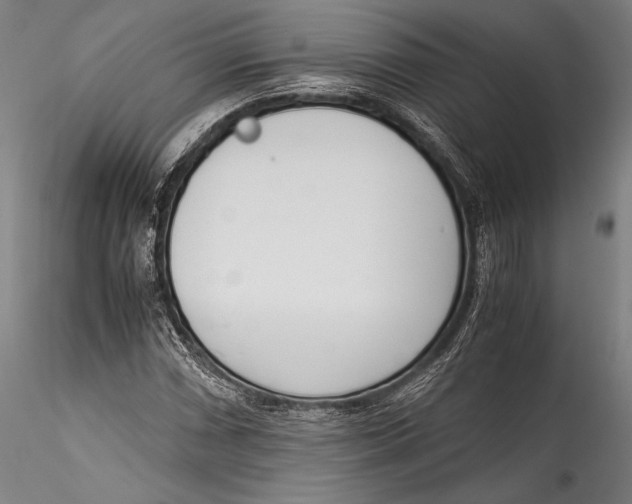 X0000115301066200911301508