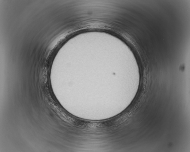 X0000115301067200911301508