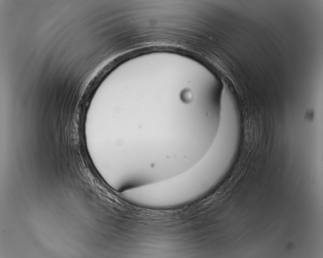 X0000115301068200911301508