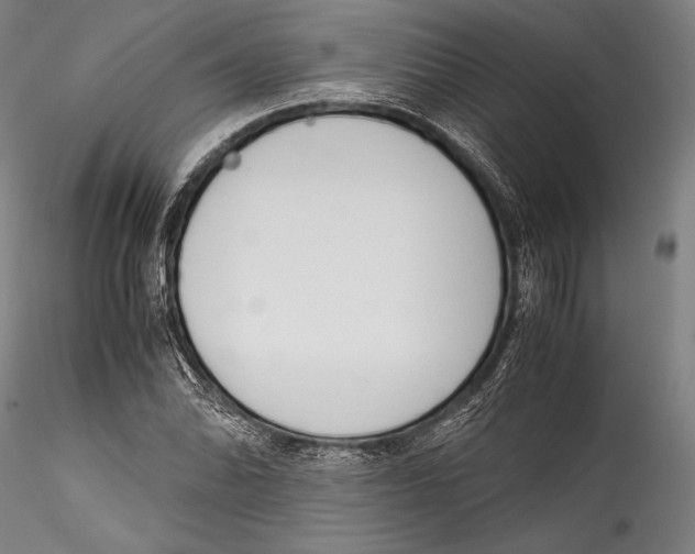 X0000115301070200911301508