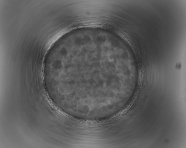 X0000115301071200911301508