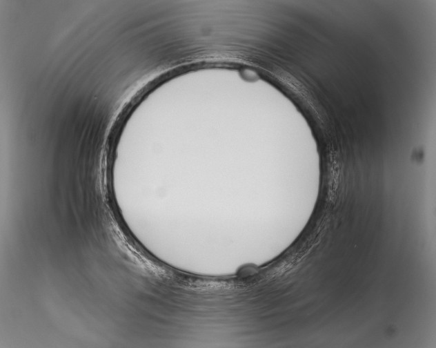 X0000115301076200911301508