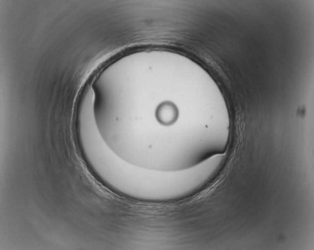 X0000115301077200911301508