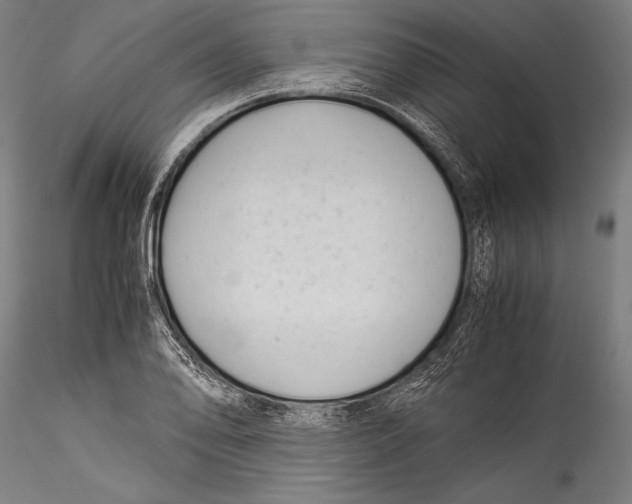 X0000115301078200911301508