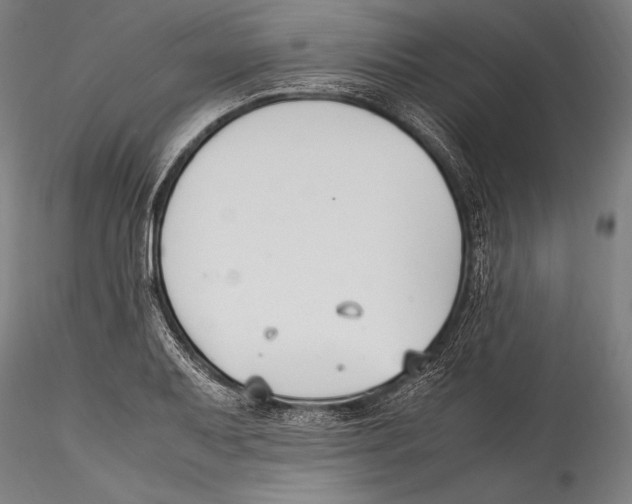 X0000115301079200911301508