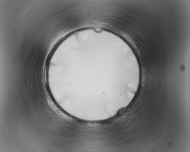 X0000115301080200911301508