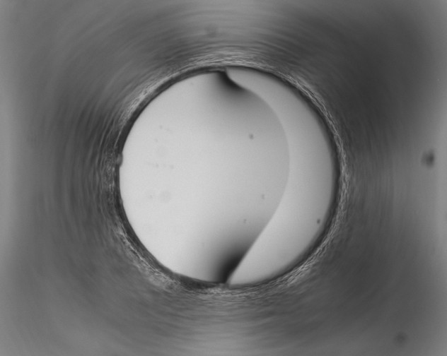 X0000115301081200911301508