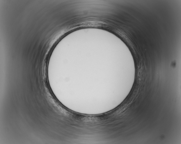 X0000115301083200911301508