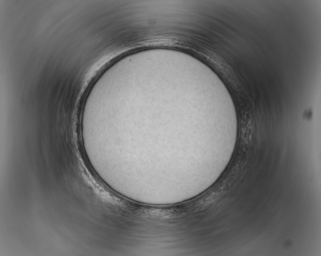 X0000115301086200911301508