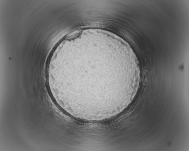 X0000115301087200911301508