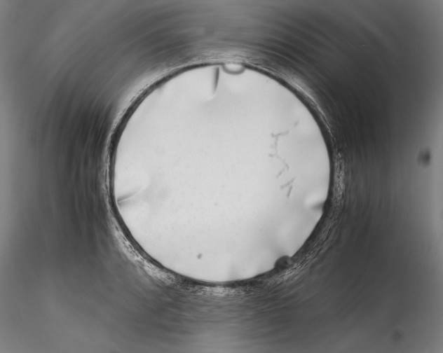 X0000115301088200911301508