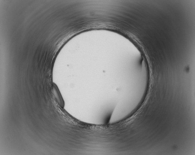 X0000115301089200911301508