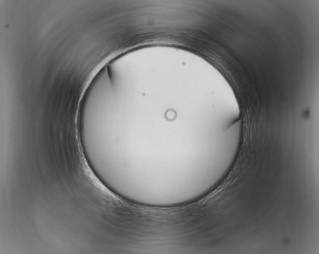 X0000115301092200911301508