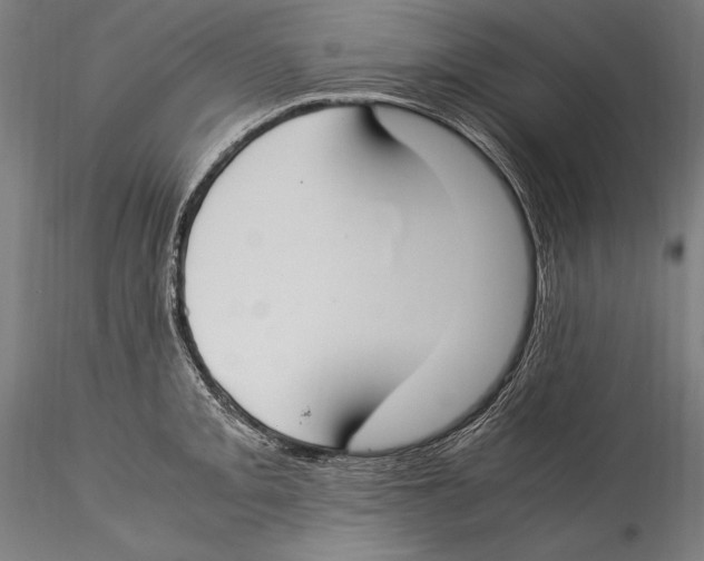 X0000115301093200911301508