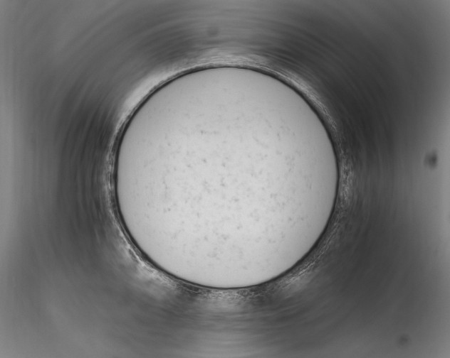 X0000115301094200911301508