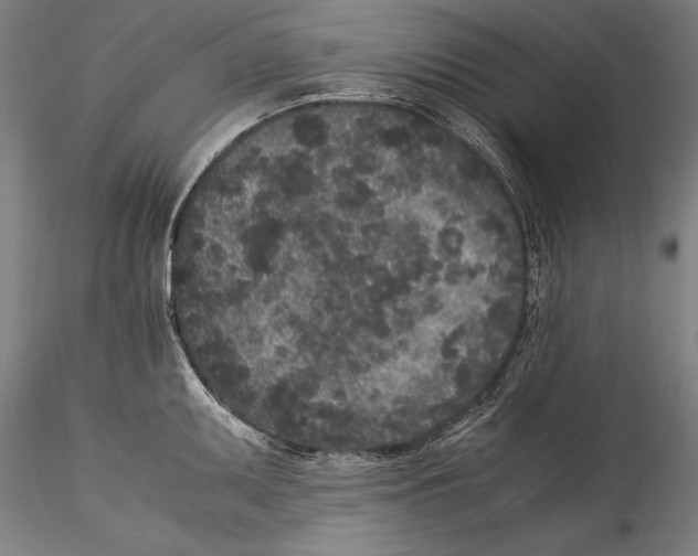 X0000115301095200911301508