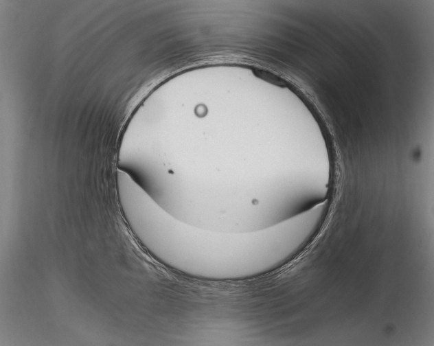 X0000115301097200911301508