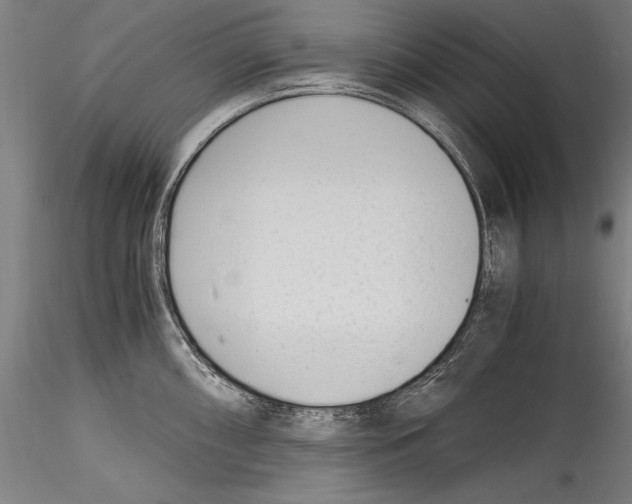 X0000115301098200911301508