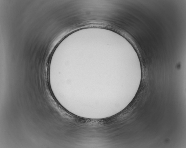 X0000115301099200911301508