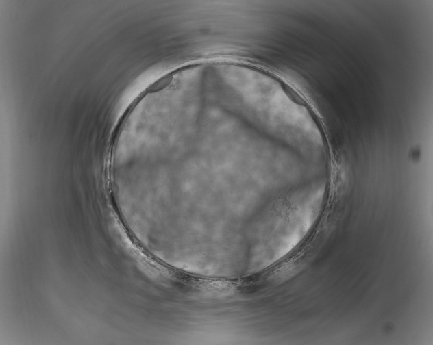 X0000115301101200911301508