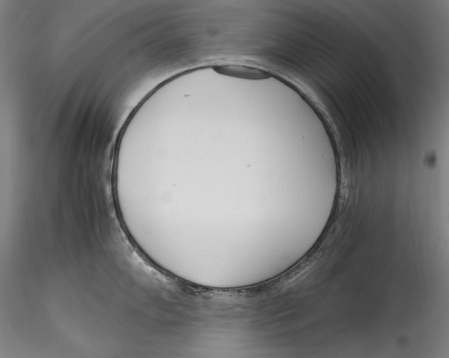 X0000115301102200911301508