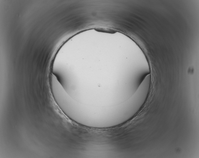 X0000115301104200911301508