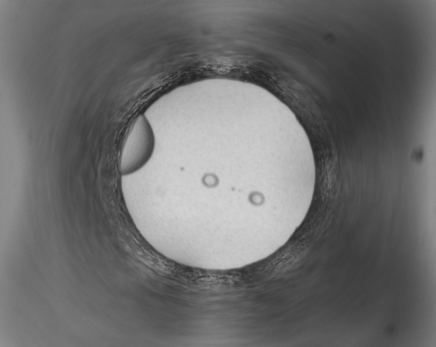 X0000115301105200911301507