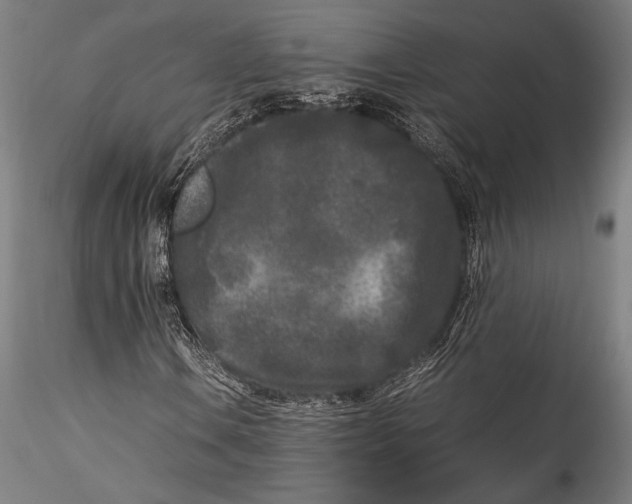 X0000115301106200911301507