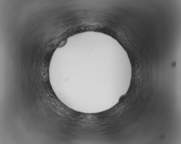 X0000115301109200911301507