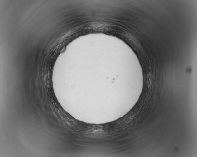 X0000115301111200911301507