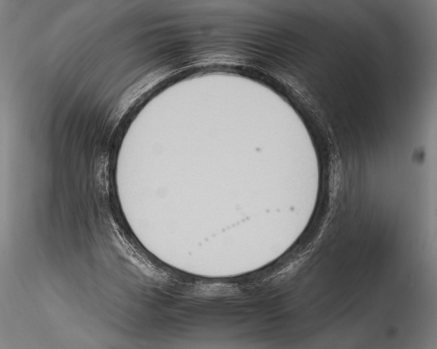 X0000115301113200911301507