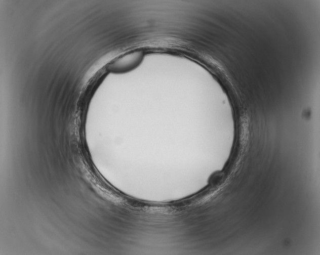 X0000115301114200911301507