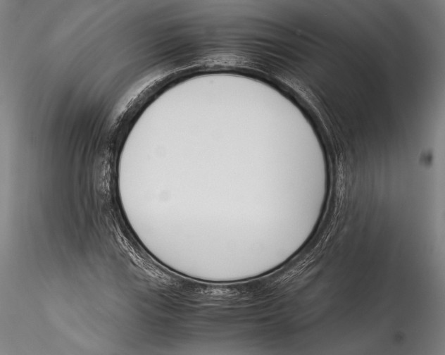 X0000115301115200911301507