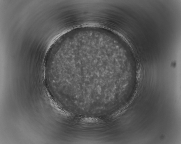 X0000115301117200911301507