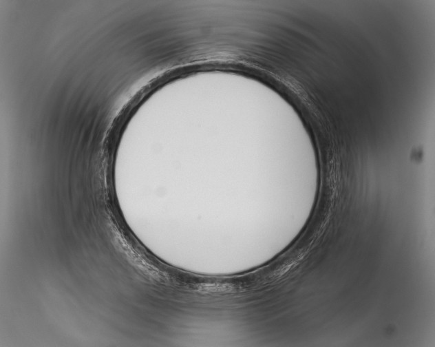 X0000115301118200911301507