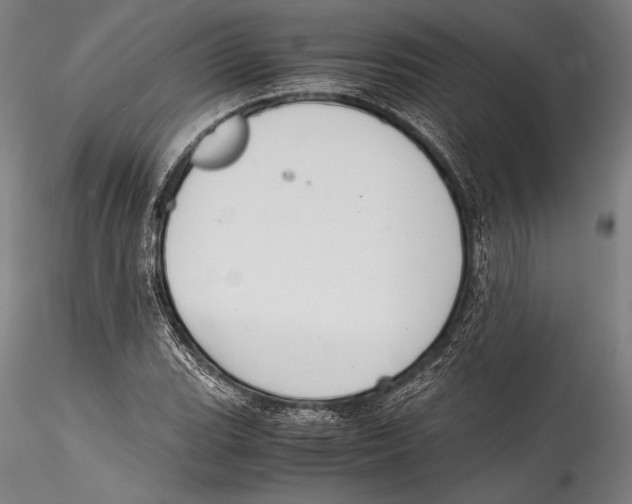 X0000115301119200911301507