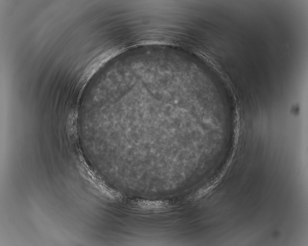 X0000115301121200911301507