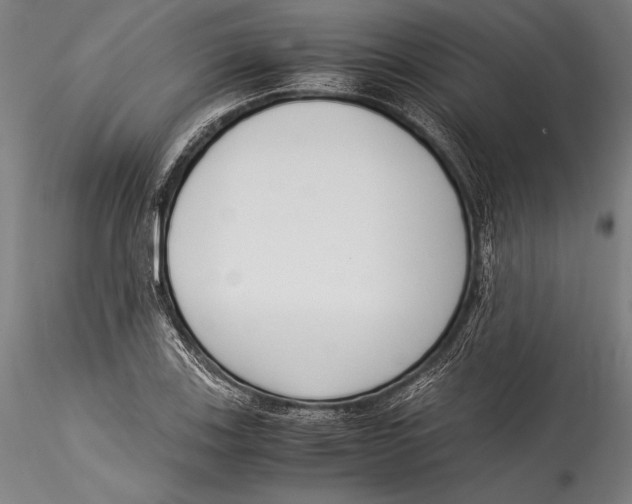 X0000115301123200911301507